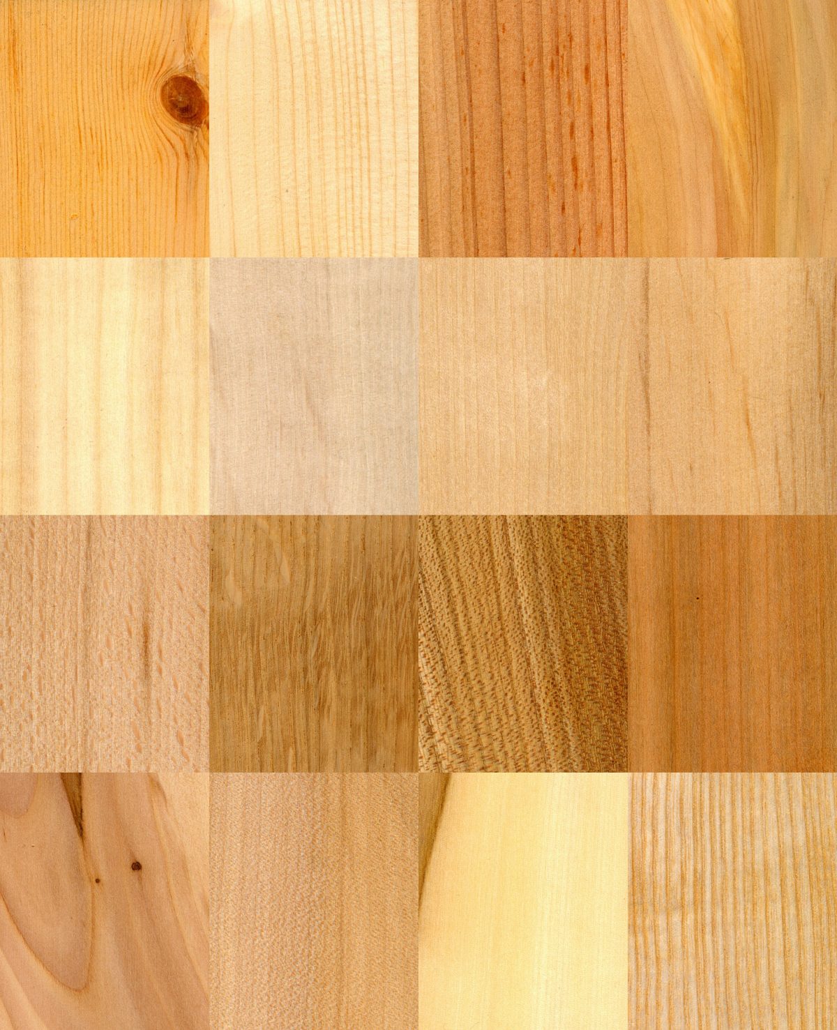 Gama de colores de los suelos de parquet de madera